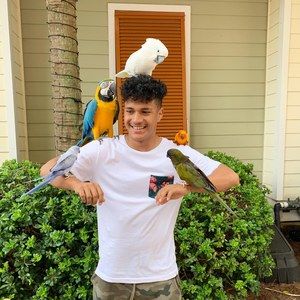 Meet your Posher, Patrick